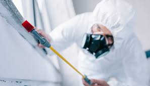 Best Termite Inspection and Treatment  in Palm Valley, TX